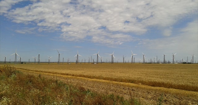 Ветрянные мельницы в Новоозерном